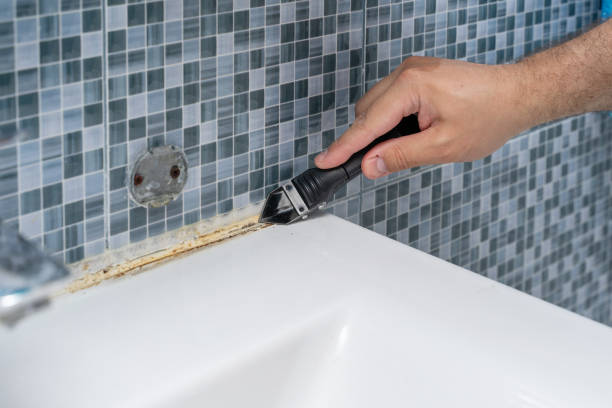 Best Residential Mold Removal  in Leland Grove, IL